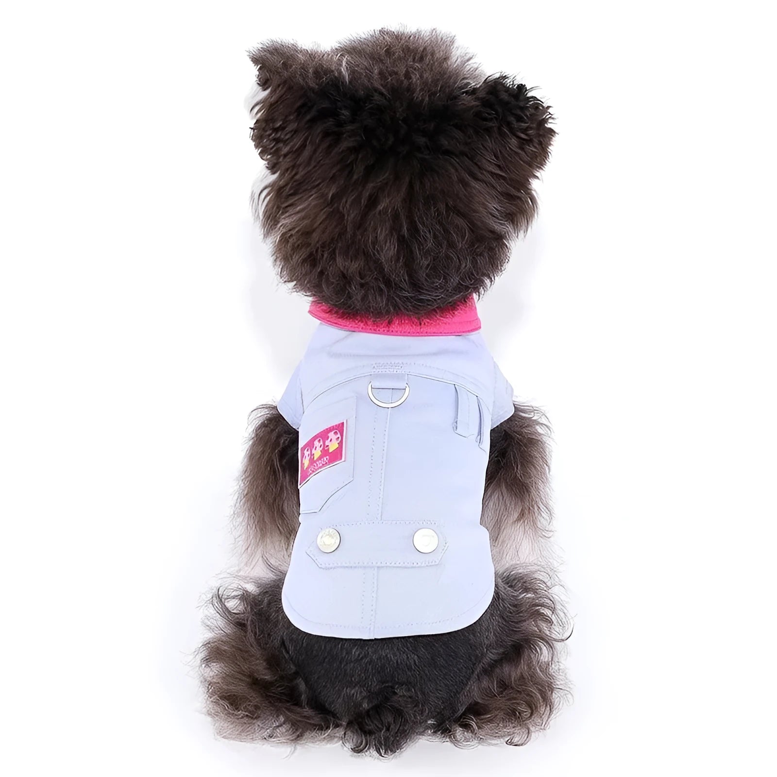 Blue and purple polyester dog vest with front chest ring for small dogs, showing weight-based sizing options