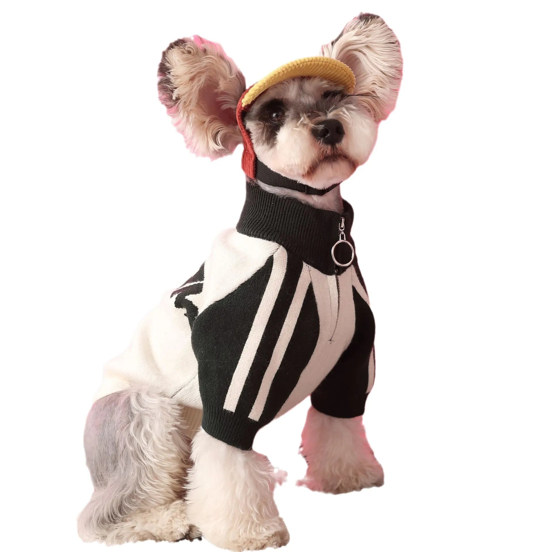 Red wool sports cardigan sweater for dogs on a pet mannequin showing casual pet clothing design