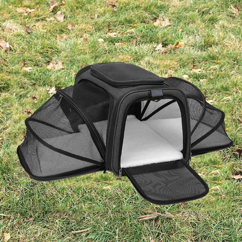 Cat carrier bag in solid colour with 600D cation fabric construction and portable design