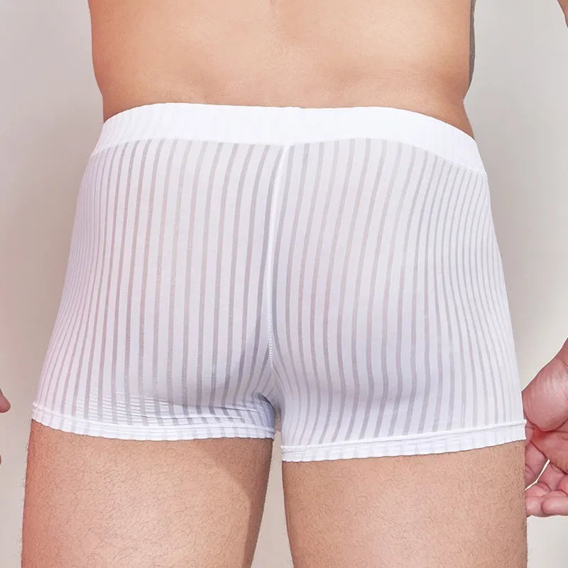 Men's striped transparent underwear in black, dark grey and white colours