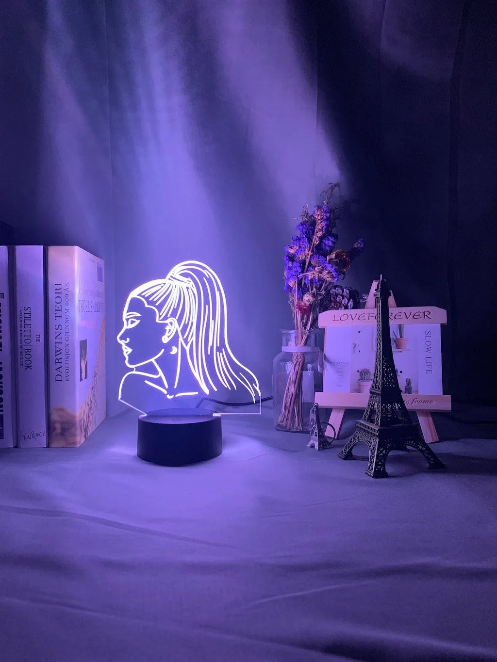 Acrylic 3D night light with European design and LED illumination