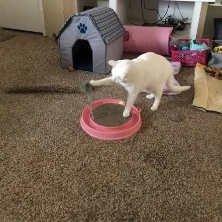 Blue cat scratching pad with circular ball track and replaceable cardboard centre for feline scratching and play