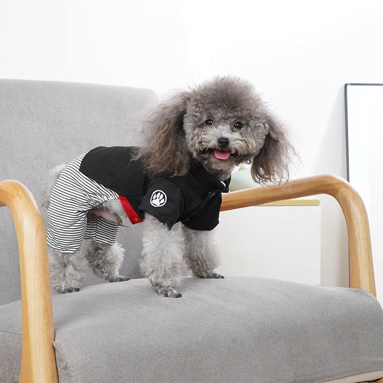 Cotton poodle dog clothes in skirt and four-foot pants designs for spring and autumn seasons