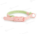Dark Red Purple Yellow PVC dog leash held in a hand, showing the 120cm length and hand loop