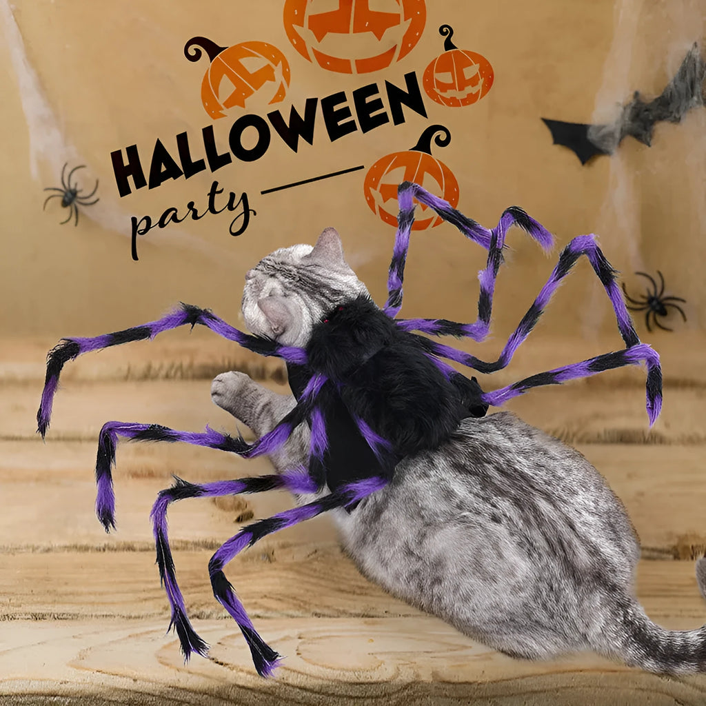 Grey Big Spider Halloween costume worn by a dog, showing the four-legged design and headpiece.