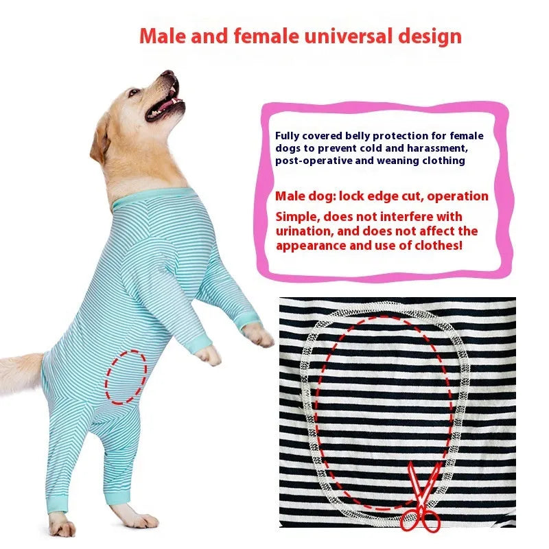 Four-legged striped dog shirt on medium breed dog showing sky blue colour and full leg coverage