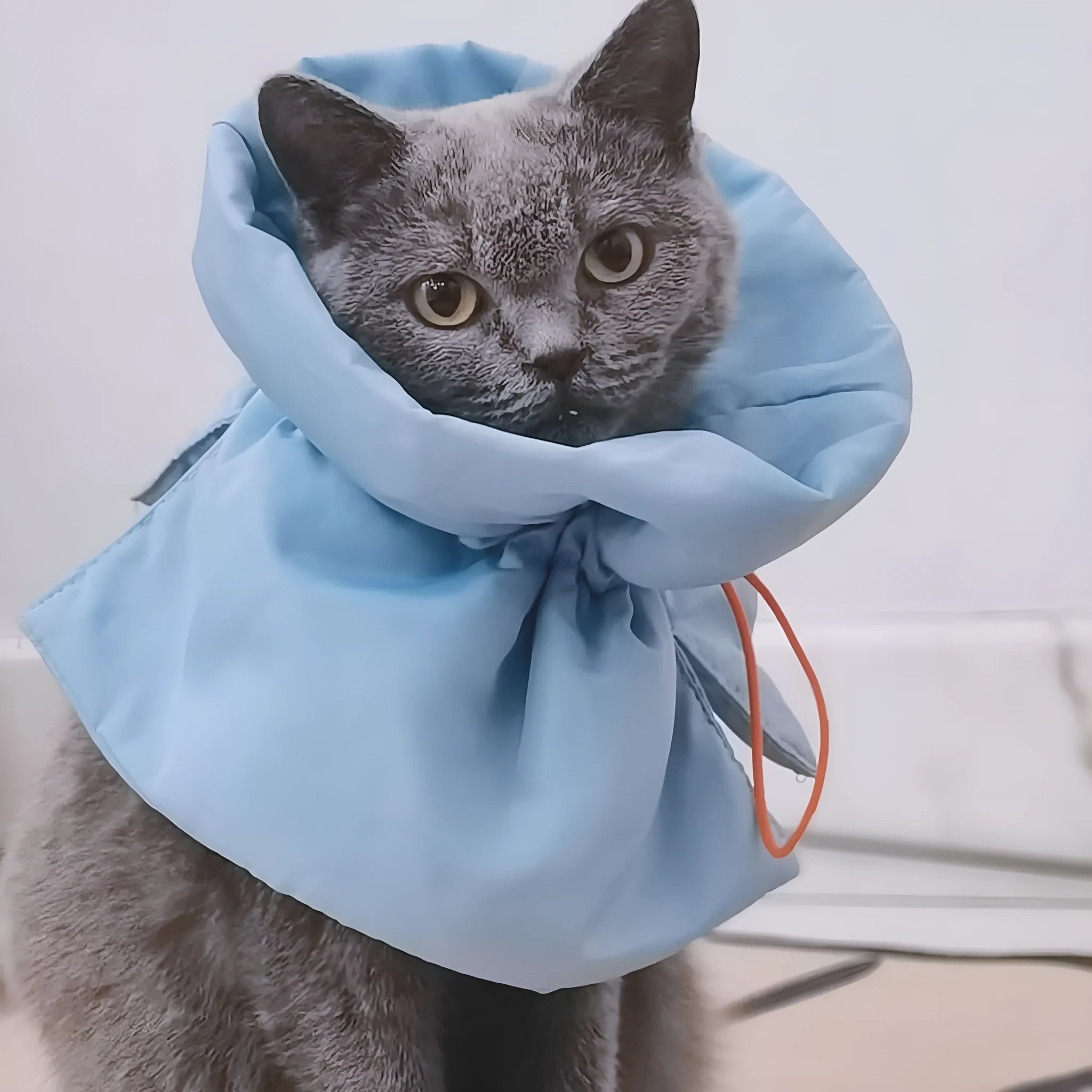 Soft blue adjustable cat recovery collar cone on a grey background