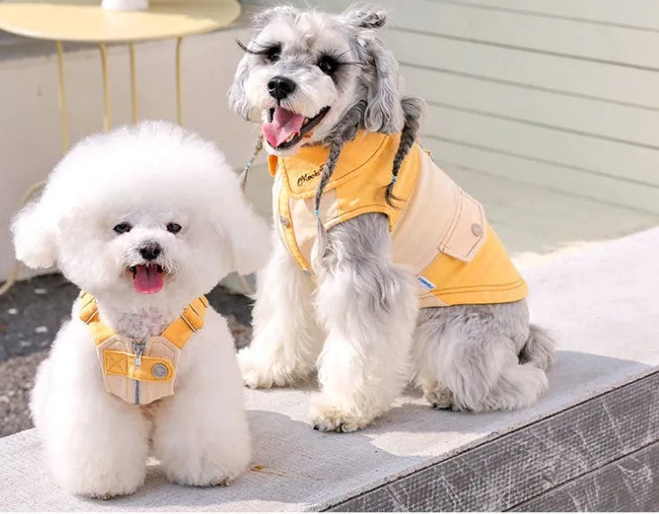 Yellow casual cotton blend dog clothes for small breeds like Bichon Frise and Yorkshire Terrier