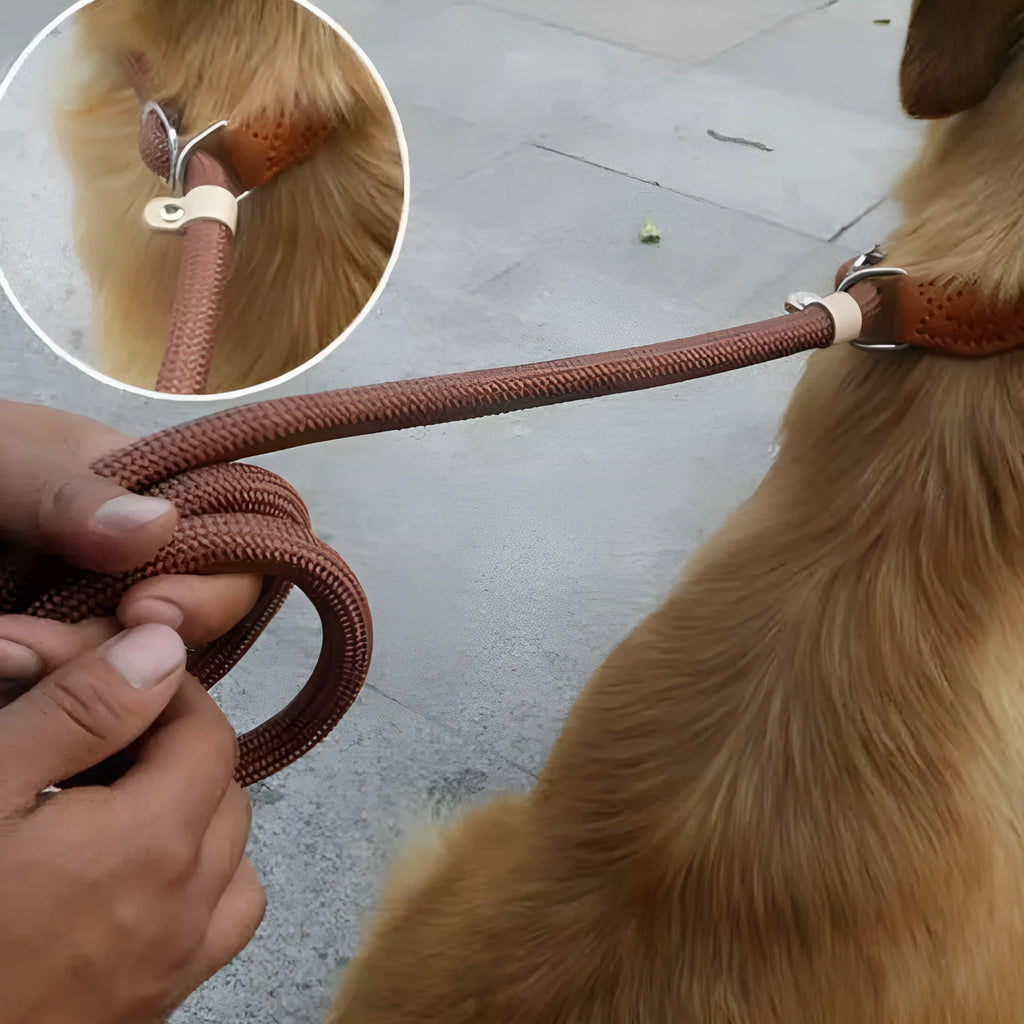 Brown nylon P chain dog leash held in a hand, showing its full 2.1 metre length.