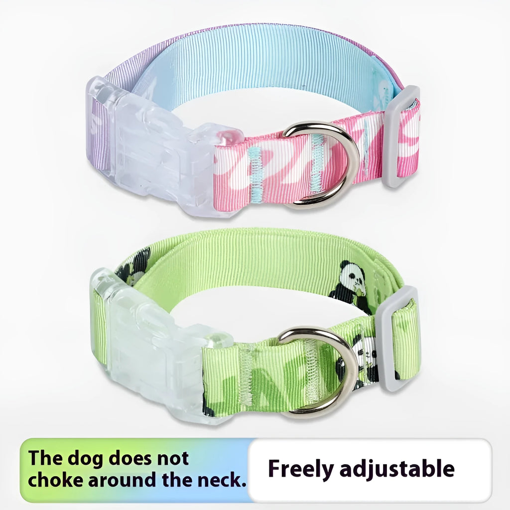 Cartoon gradient printing dog collar in nylon with adjustable sizing for dogs 2-10kg