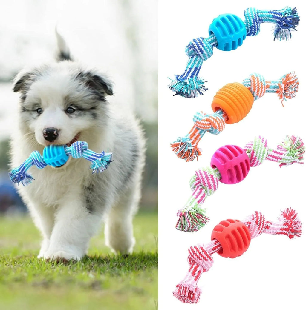 Blue silicone molar-ball dog chew toy with white rope ends on a wooden floor.