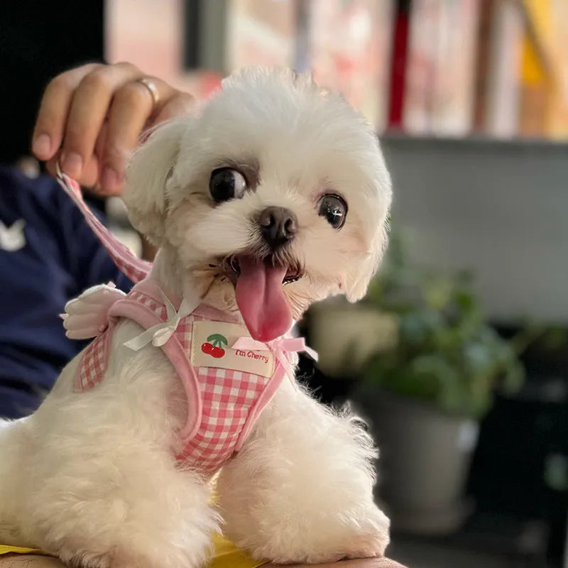 Small dog wearing pink cotton chest and back harness with adjustable straps