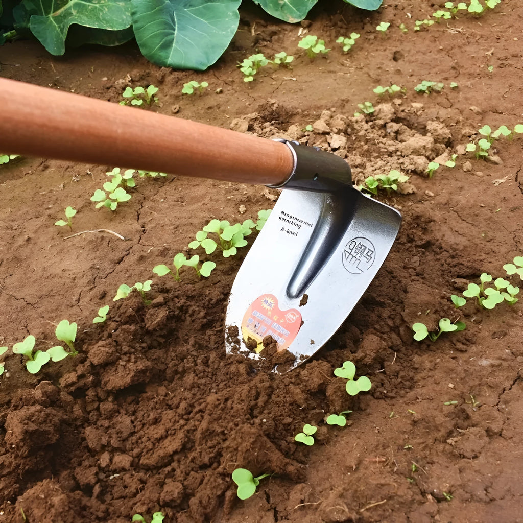 Agricultural pointed hoe tool with flat design and steel construction for weeding and ploughing