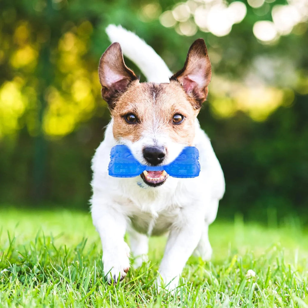 Freezable dog chew toy in bone and circle shapes for cooling and teething relief.