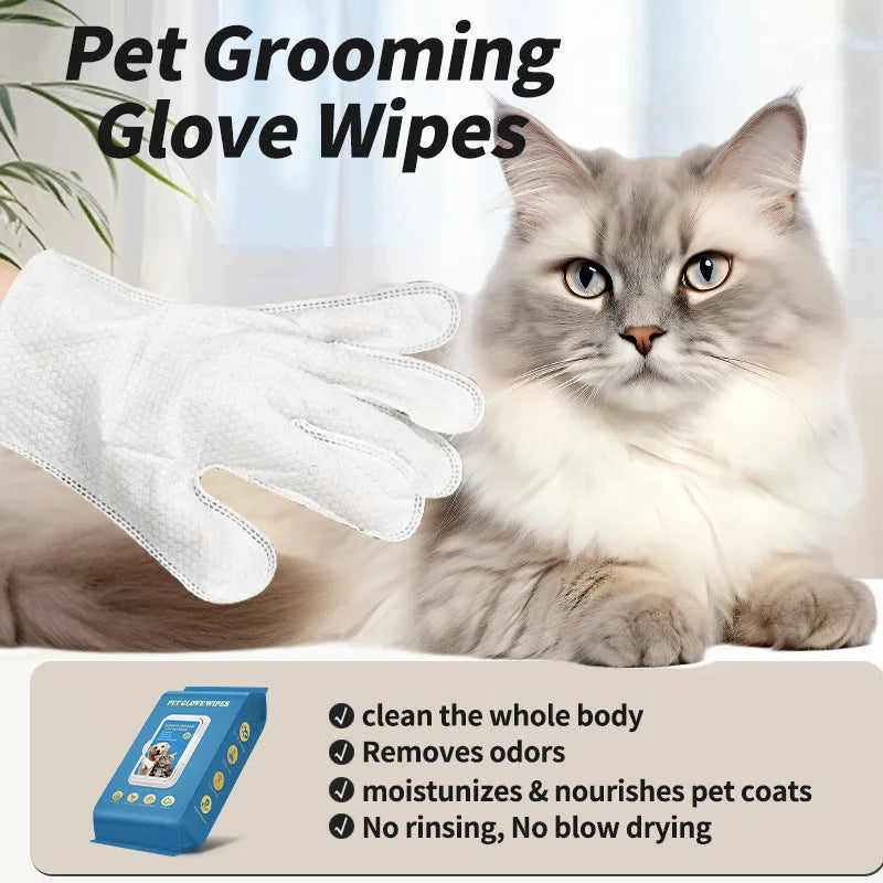 Disposable gloves for pet cat and dog care during bathing and cleaning tasks