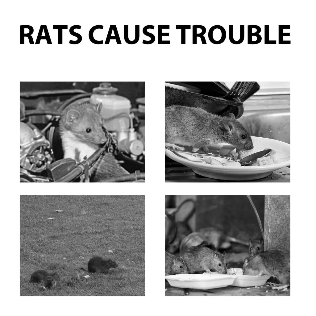 60ml bottle of natural rat repellent spray with essential oils for home and car use