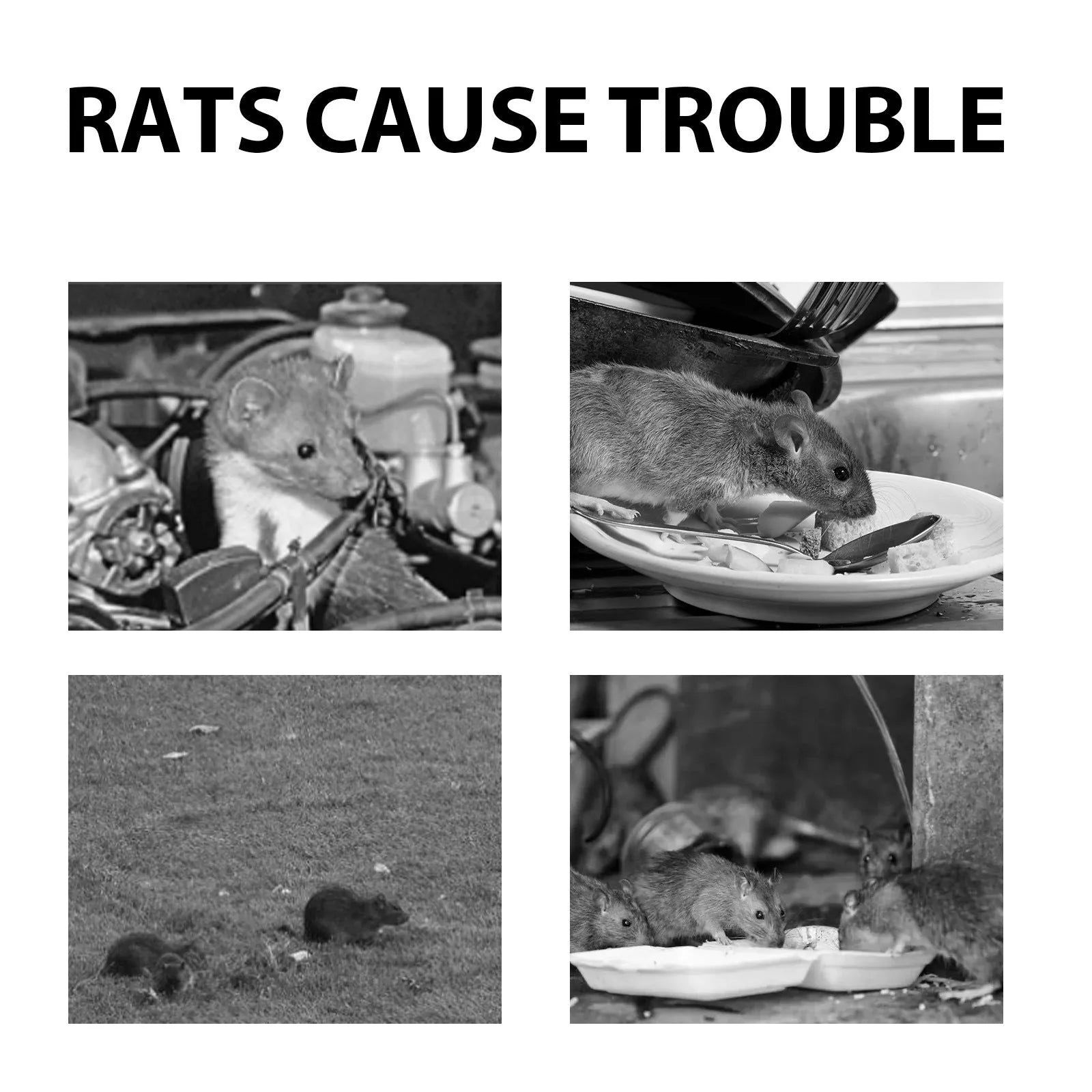 60ml bottle of natural rat repellent spray with essential oils for home and car use