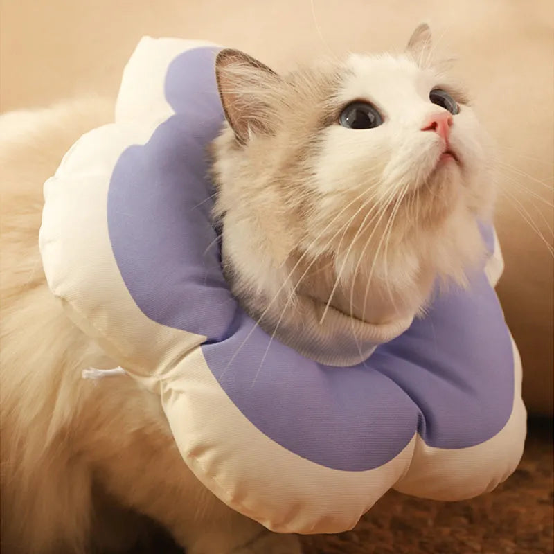 Cat wearing blue flower-pattern cotton recovery collar around neck