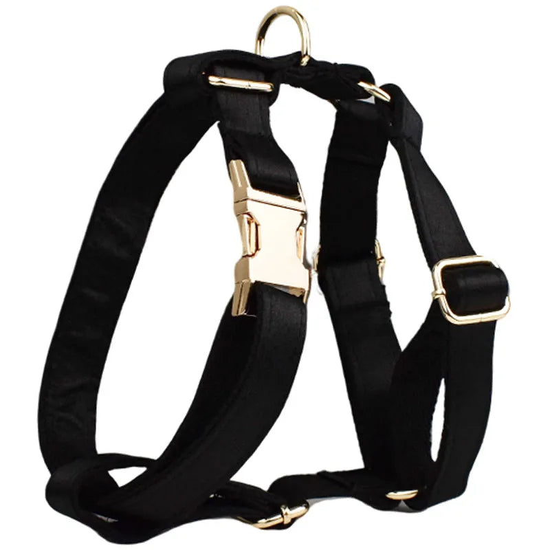 Dog wearing cloth collar, leash, chest harness, decorative bow, and matching vest accessory set