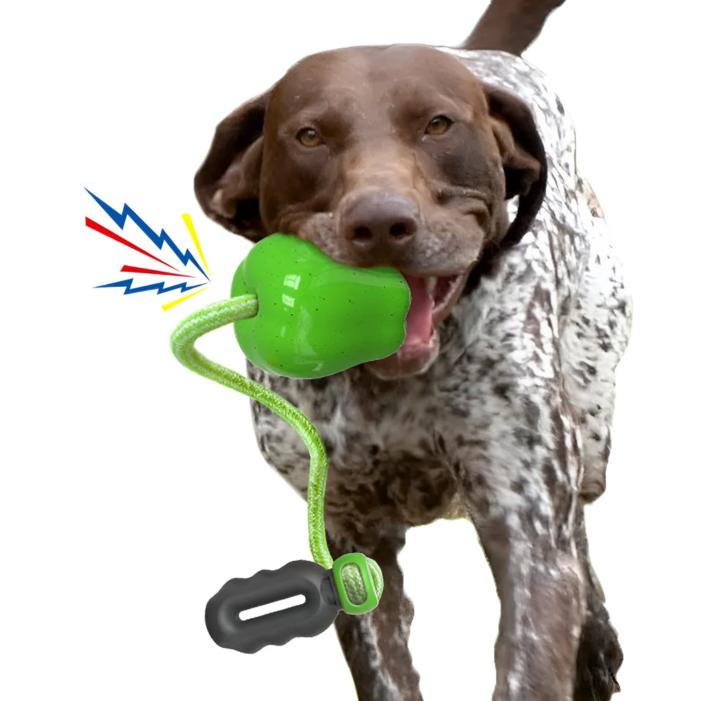 Green and red apple-shaped plastic dog toy with hollow centre for treat dispensing