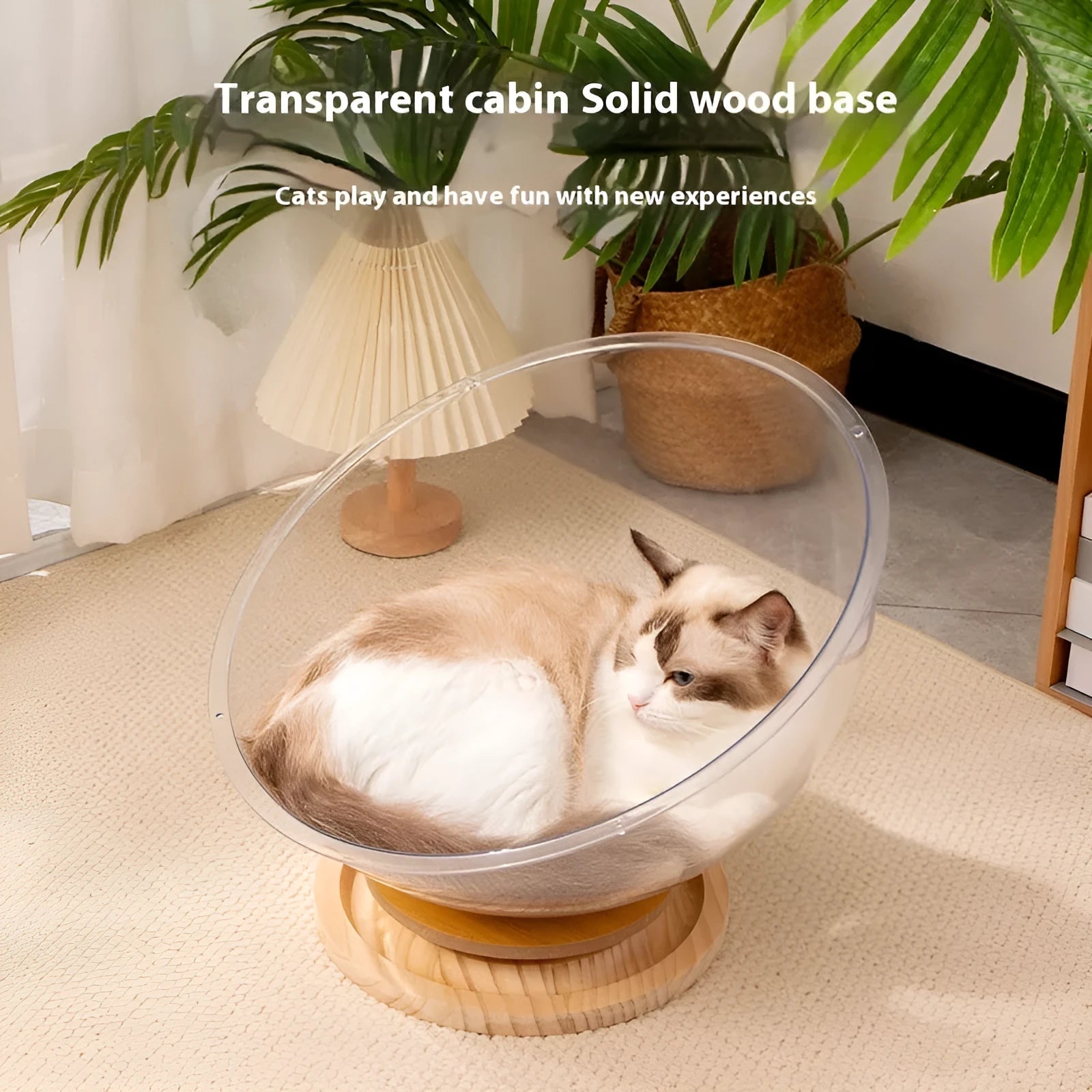 Transparent acrylic cat space capsule bathtub pet bed in multiple size options