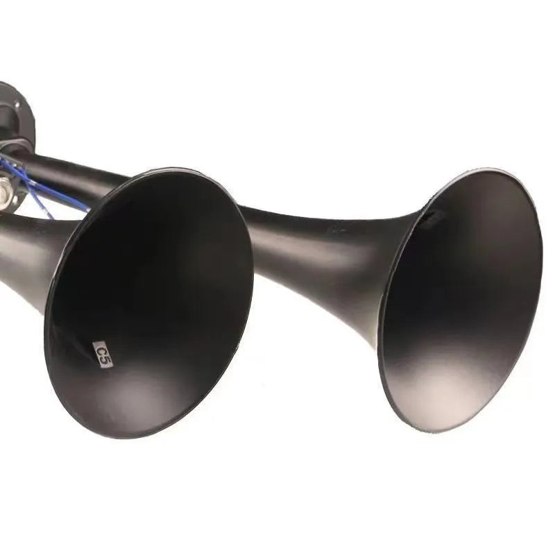 Black dual trumpet car air horn kit with 300dB compressor for 12V and 24V vehicles
