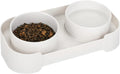 Green and white ceramic elevated cat bowls on a tilted stand for food and water.