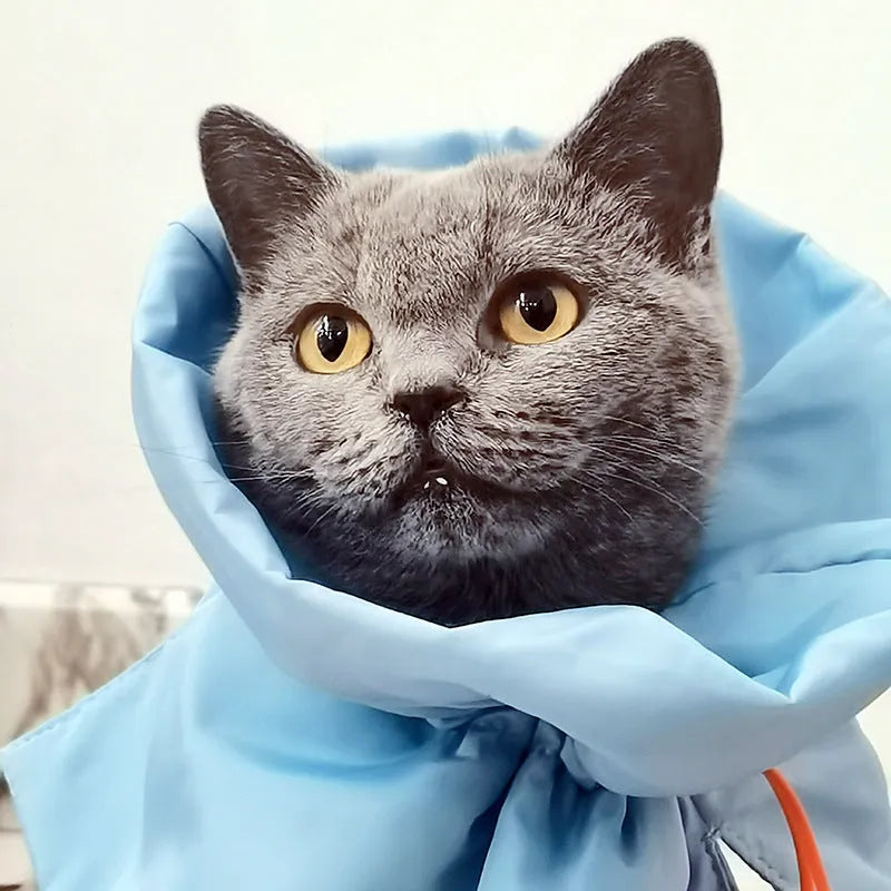 Soft blue adjustable cat recovery collar cone on a grey background