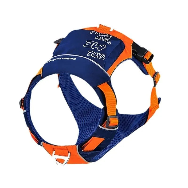 Orange and blue nylon dog chest strap vest lead shown on a dog.