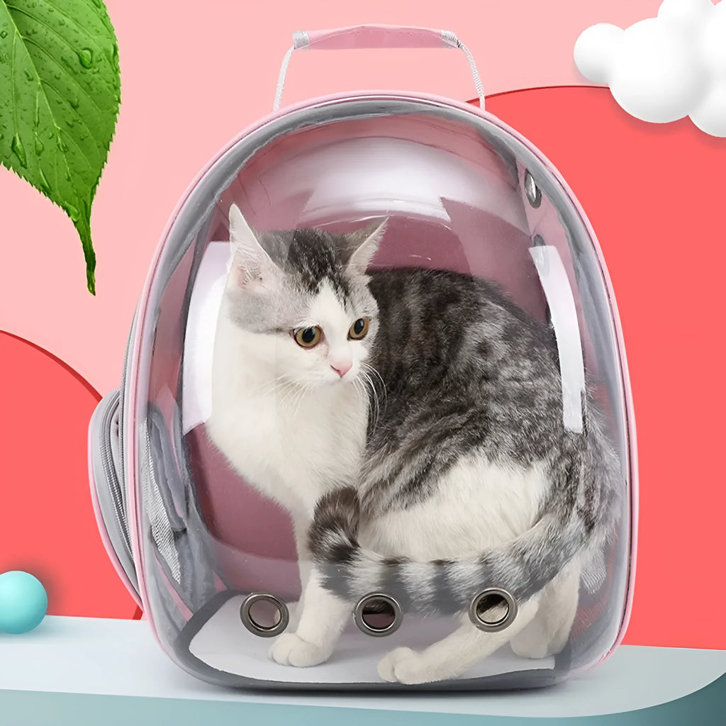 Astronaut style cat carrier bag in solid colour made from medium-hard PC plastic for pet transport.