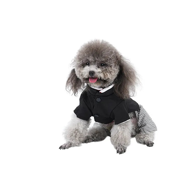 Cotton poodle dog clothes in skirt and four-foot pants designs for spring and autumn seasons