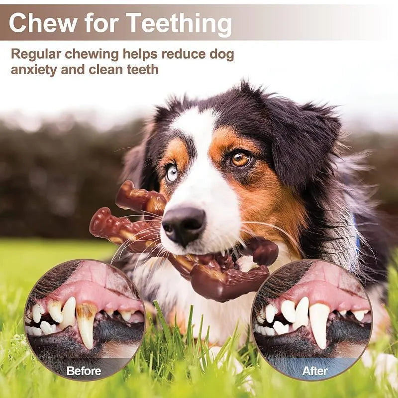 Scarlet red nylon dog chew toy with beef flavour for dental cleaning