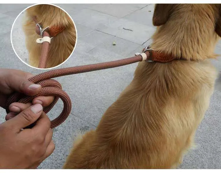 Brown nylon P chain dog leash held in a hand, showing its full 2.1 metre length.