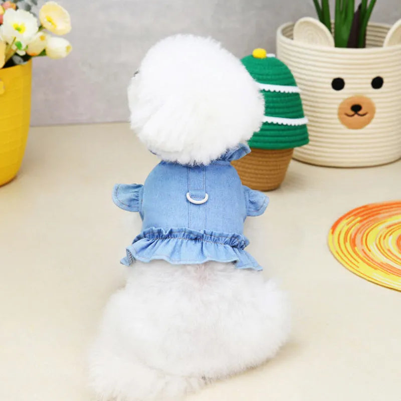 Blue denim dog dress vest with ruffles design and leash hooks on chest and back