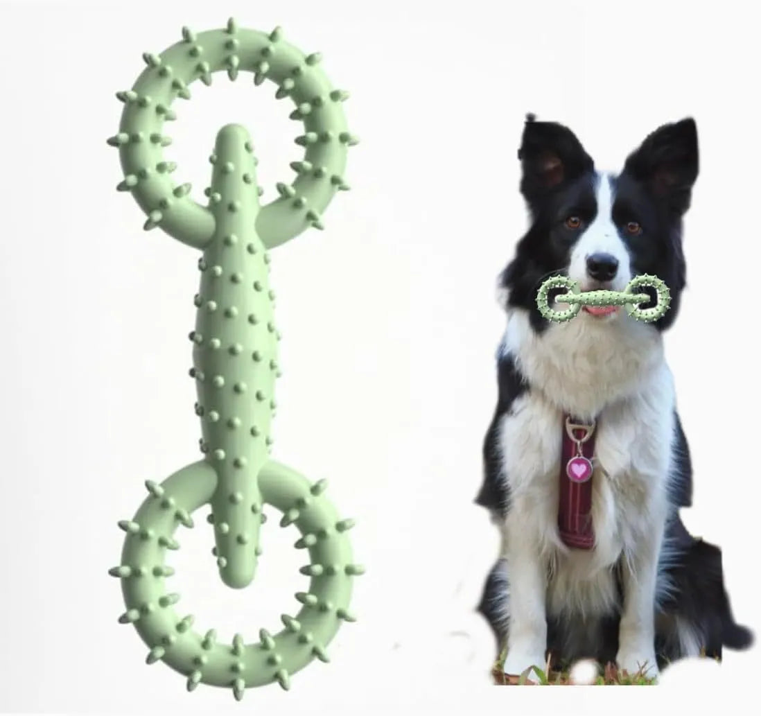 Blue TPR dog chew toy ring with board-like surface for safe canine chewing