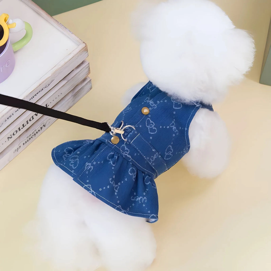 Teddy Bichon small dog wearing denim princess dress with bracket skirt style in HNXD colour