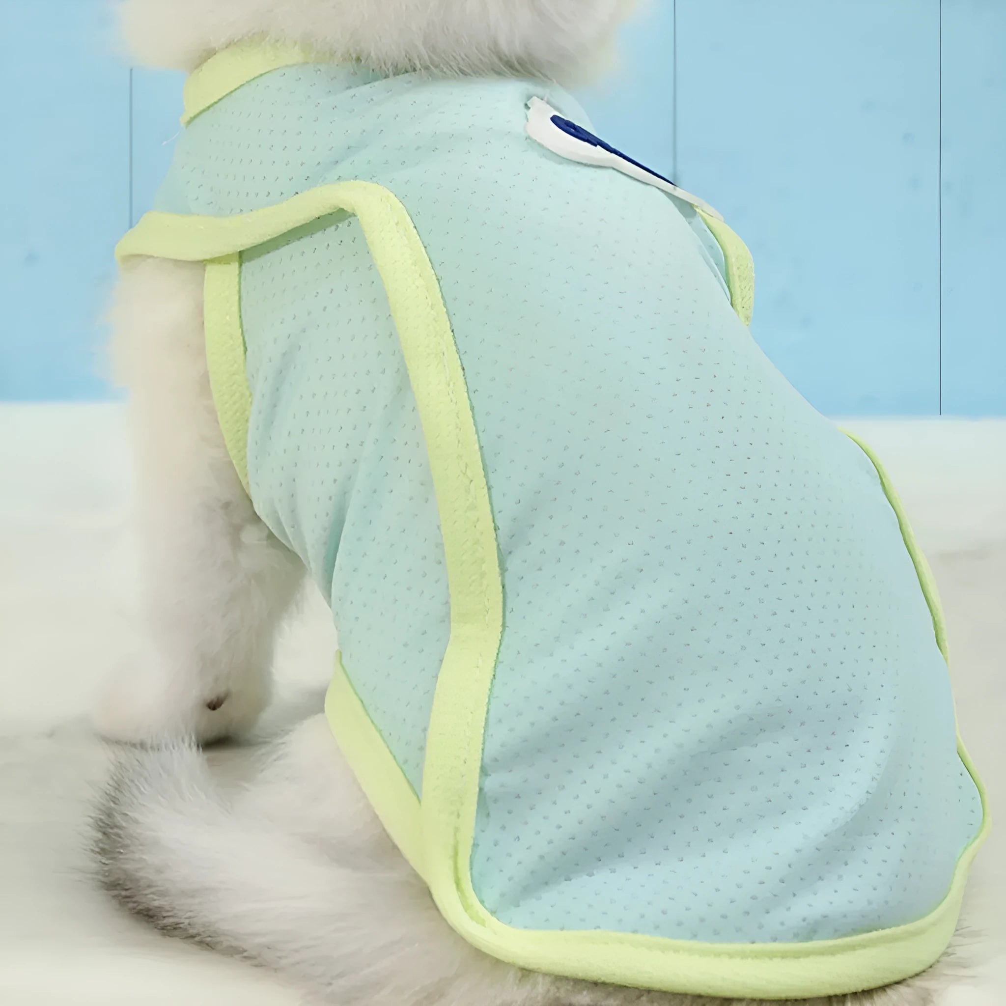 Polyester cat vest in grass green or taro purple colour with sports style design for summer wear