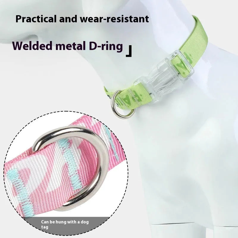 Cartoon gradient printing dog collar in nylon with adjustable sizing for dogs 2-10kg