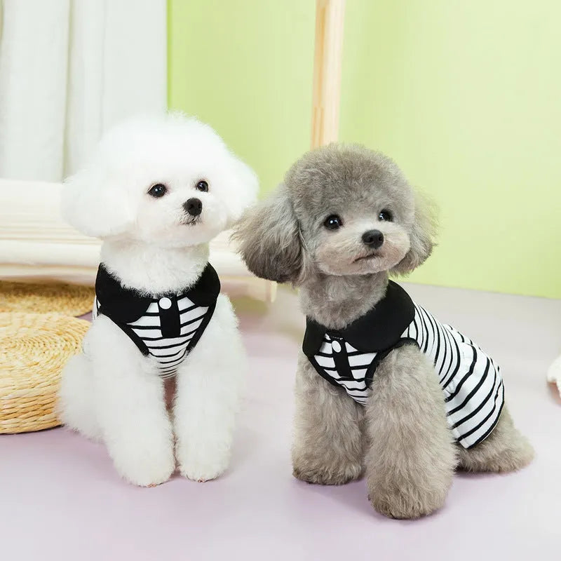 Striped cotton dog t-shirt and matching skirt pet outfit set