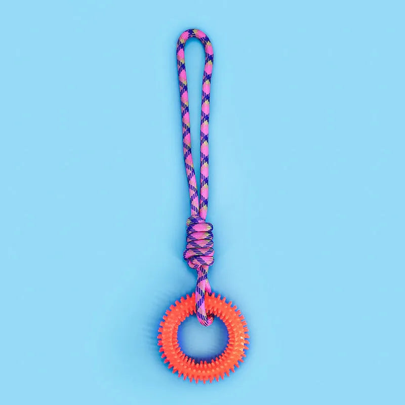 Colourful braided rope dog toy with knots, 43 cm long, for puppies and small dogs