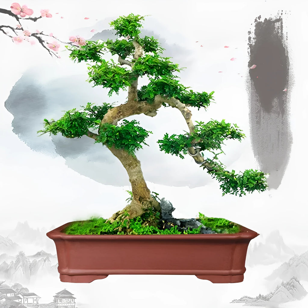 Large rectangular purple clay flowerpot shown on a patio, suitable for bonsai or large plants.