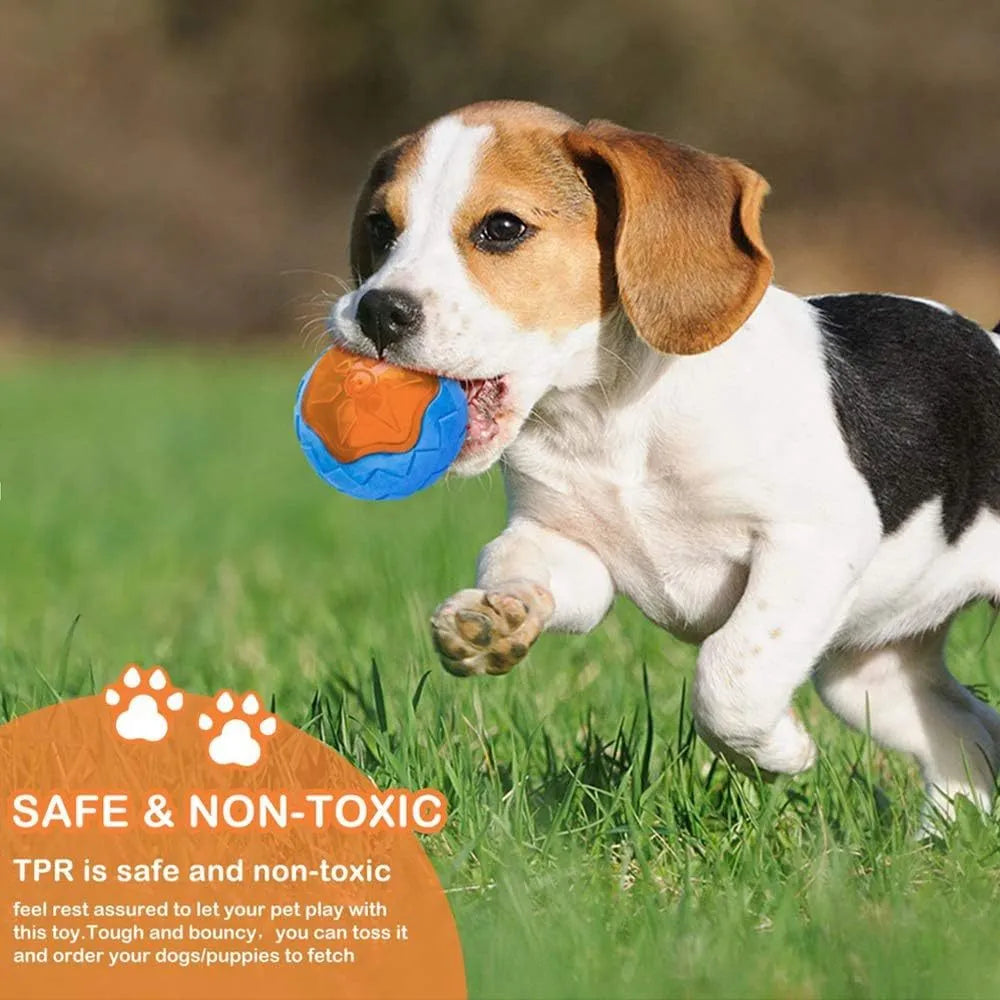 Three TPR floating dog toys: ball, barbell and tyres with bumpy texture for water fetch games