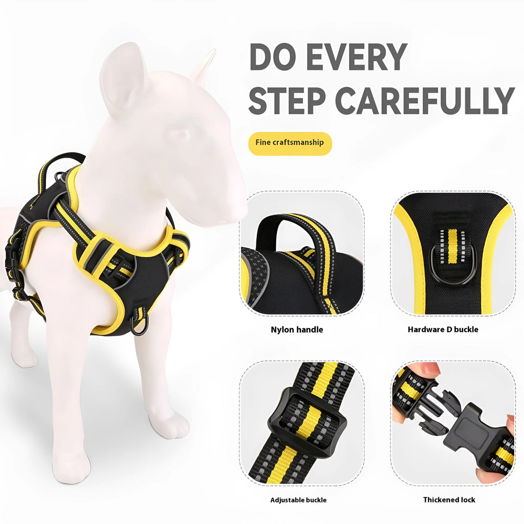 Orange polyester dog harness and lead set for medium-sized dogs during outdoor walk.