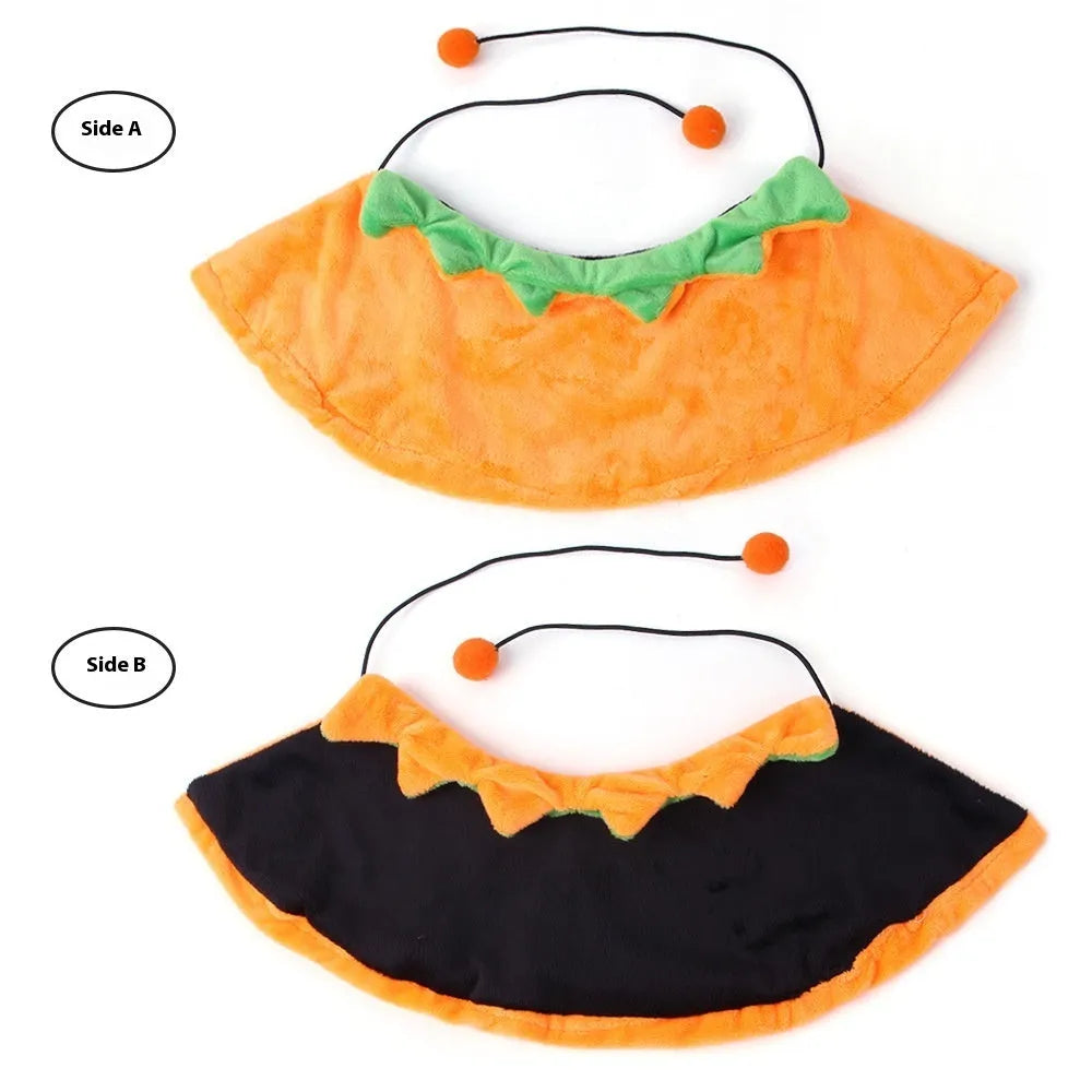 Reversible Halloween pumpkin dog cloak on pet with plush fabric in orange and black