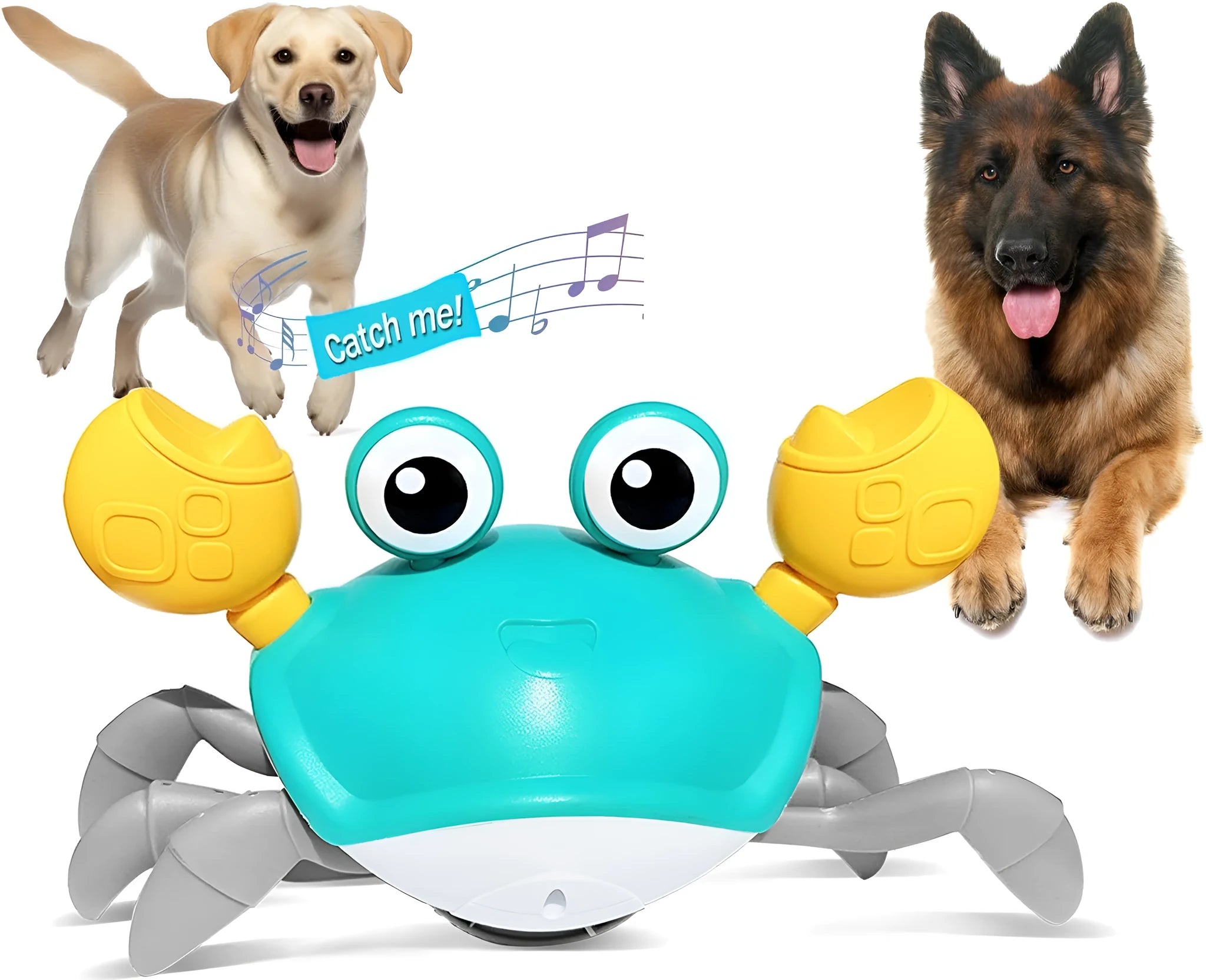 Blue electronic crab dog toy with lights on, moving sideways on a wooden floor.