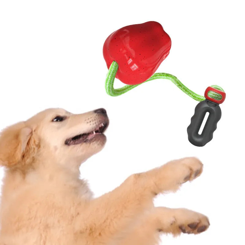 Green and red apple-shaped plastic dog toy with hollow centre for treat dispensing