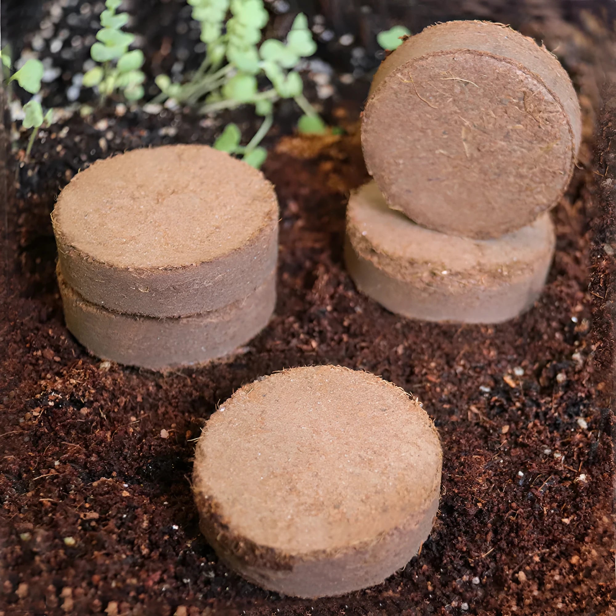 Nutrient soil planting blocks in various sizes for vegetable seed sowing and seedling cultivation