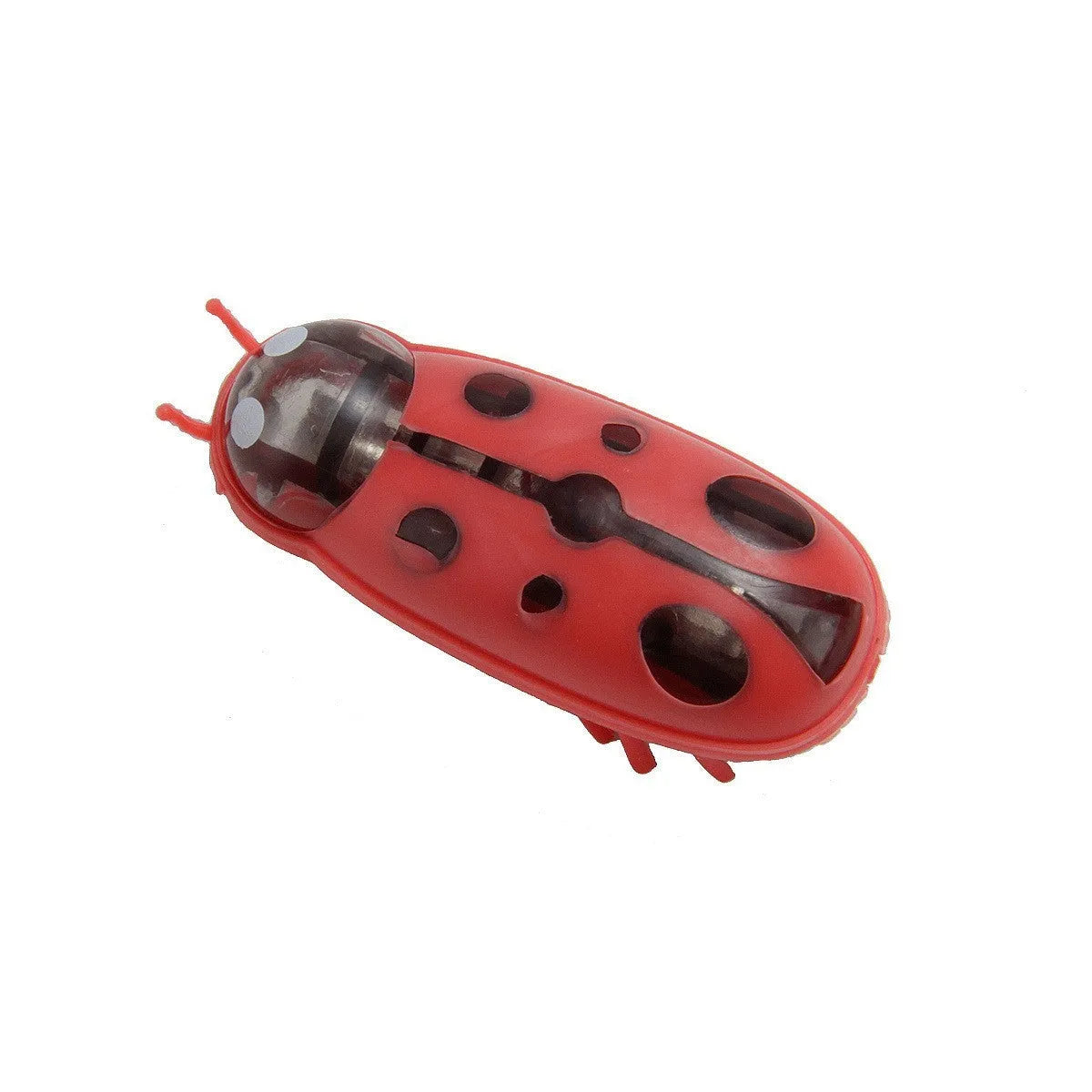 Small motorised insect pet toy in red ladybird design on wooden floor