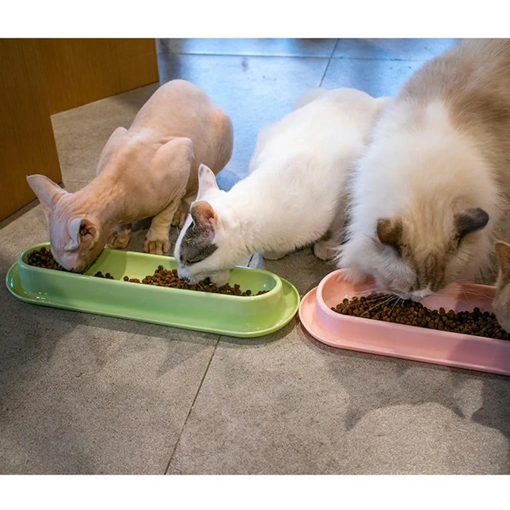 Green portable pet bowl set with two bowls and a silicone leakproof mat for cats and dogs.