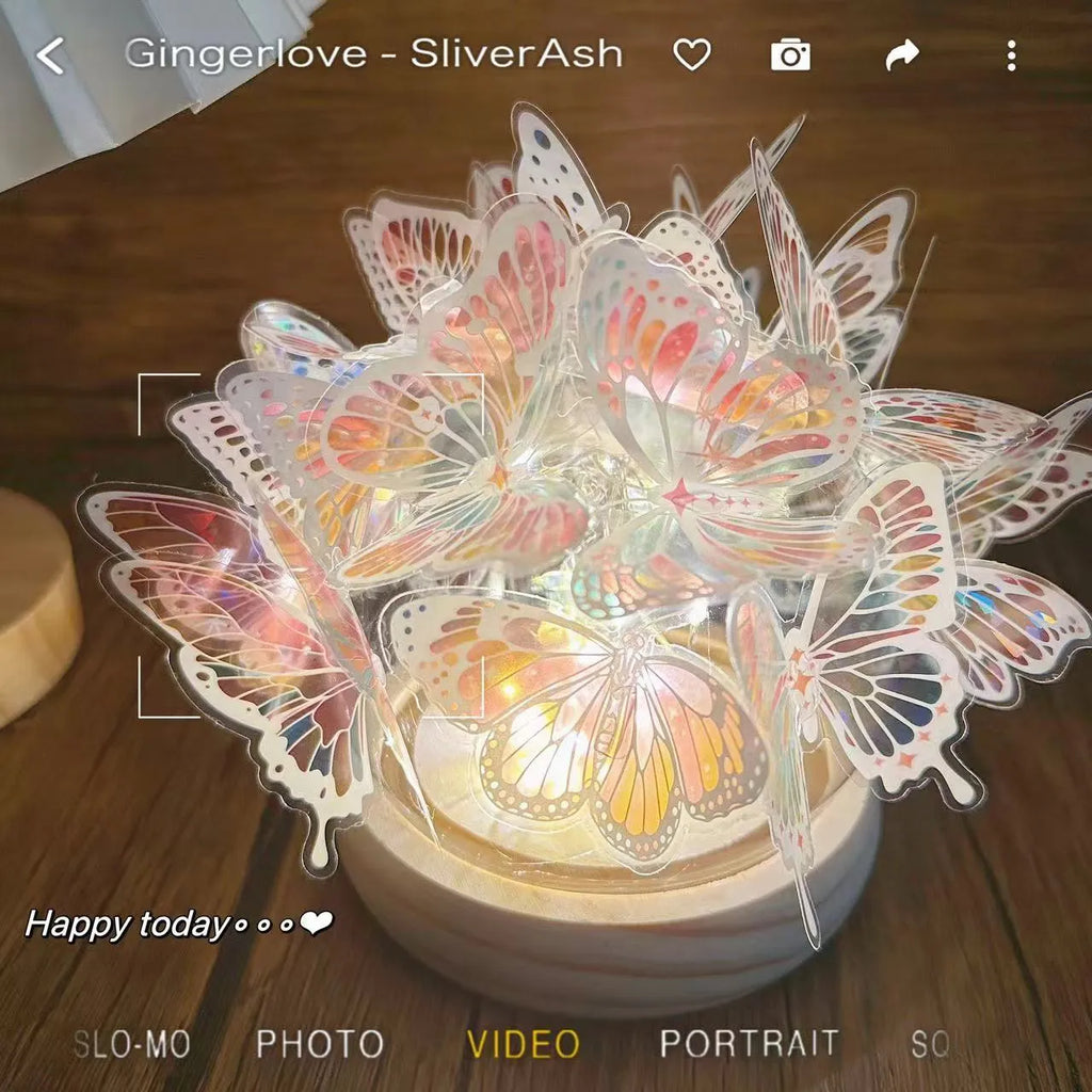 Butterfly night light with glass lampshade on raw wood base for bedroom ambience lighting